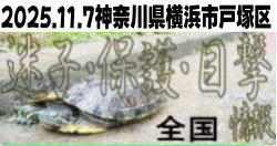 �ٓ��{�݃C���[�W