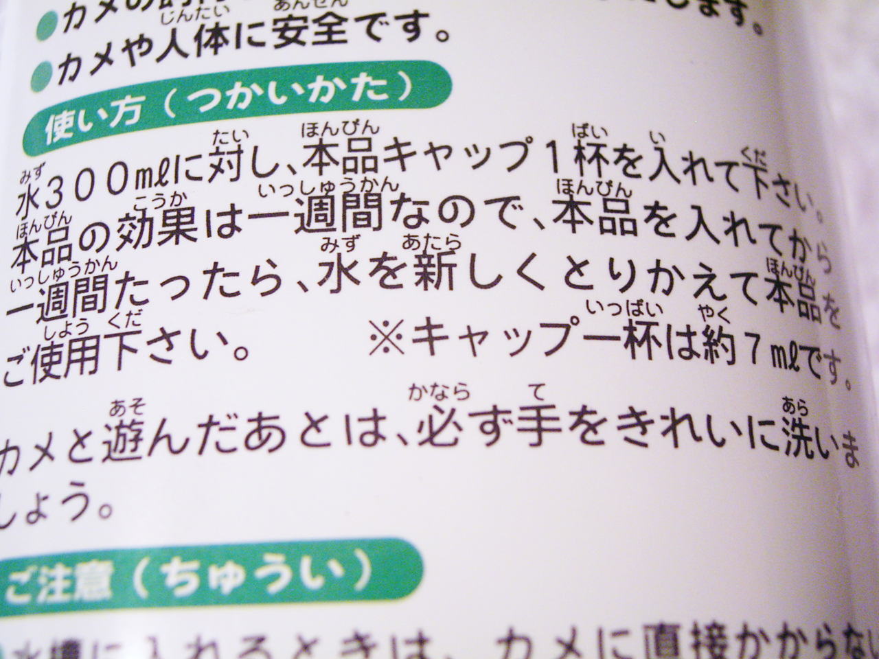 カメと遊んだあとは必ず手を綺麗に洗いましょう。