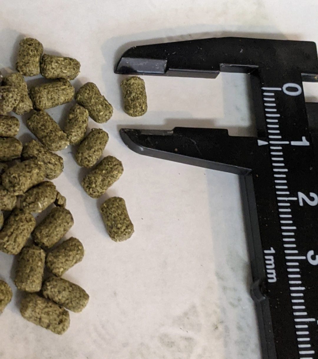 商品写真：マルベリックドライ ｜ 180g Hikari 桑葉ベース 草食性爬虫類フード ペレットタイプ（3枚目）