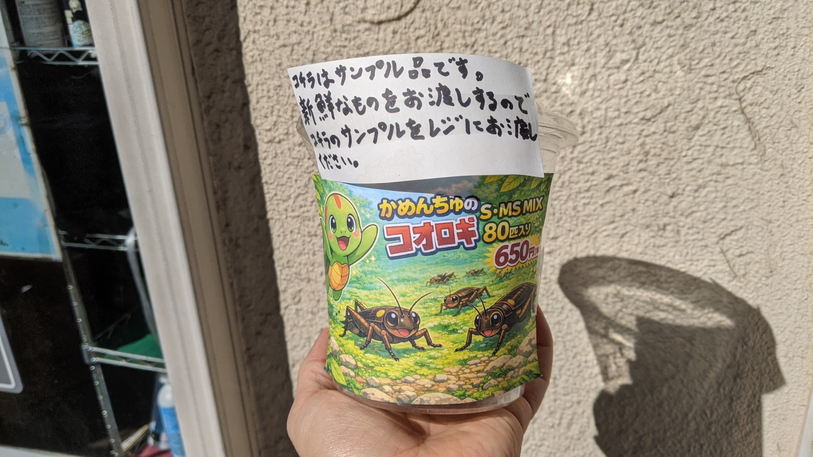 商品写真：かめんちゅフタホシコオロギ｜ SとMS（MIX）約80匹入