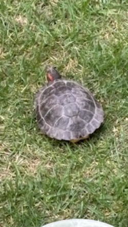 �ٓ��{�݃C���[�W