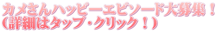 カメさんハッピーエピソード大募集！ (詳細はタップ・クリック！)