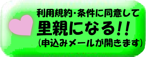 メールで注文はこちらをクリック